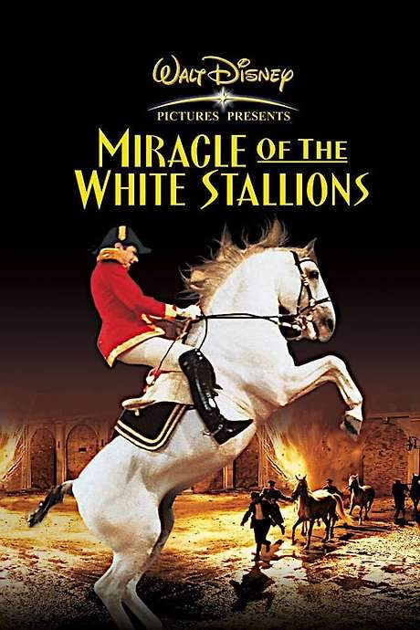 Miracle of the White Stallions